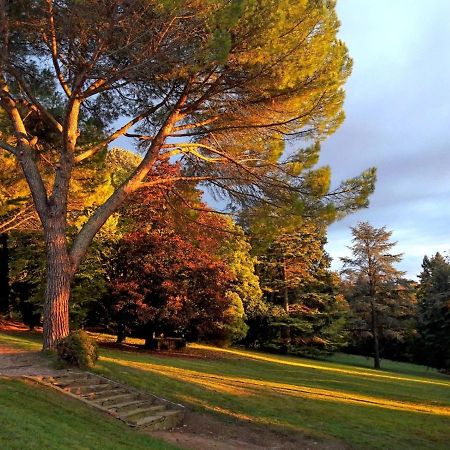 Domaine De Gailhaguet B&B Verfeil  ภายนอก รูปภาพ