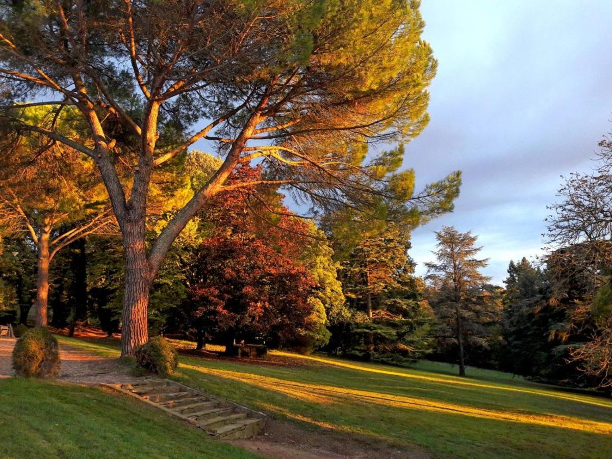 Domaine De Gailhaguet B&B Verfeil  ภายนอก รูปภาพ